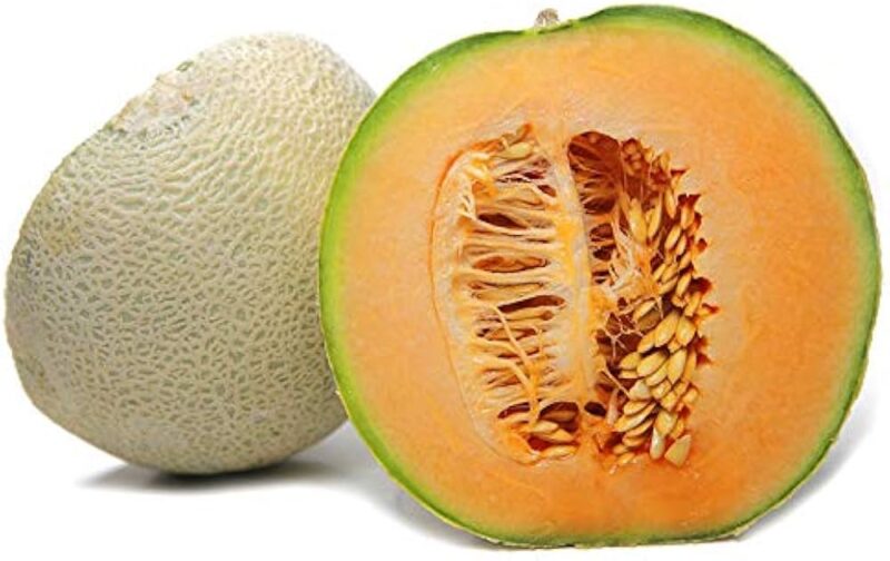 Muskmelon (Kharbooza)