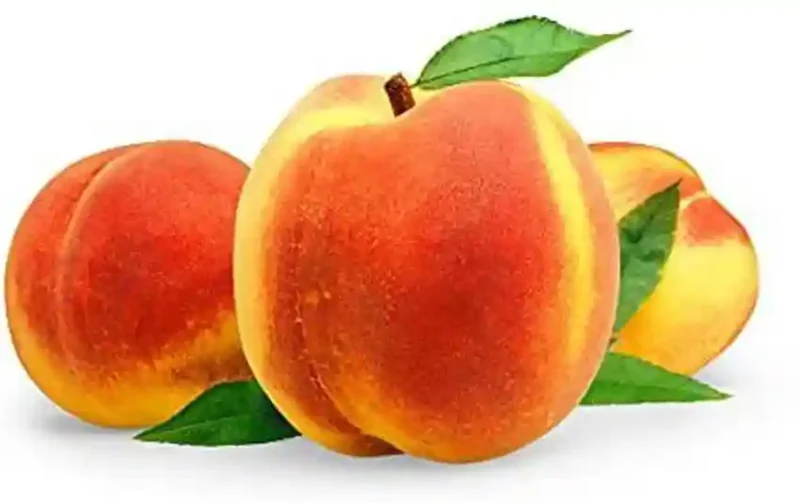 Peach (Aadoo)
