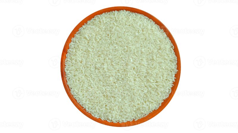 Rice (Oryza sativa)